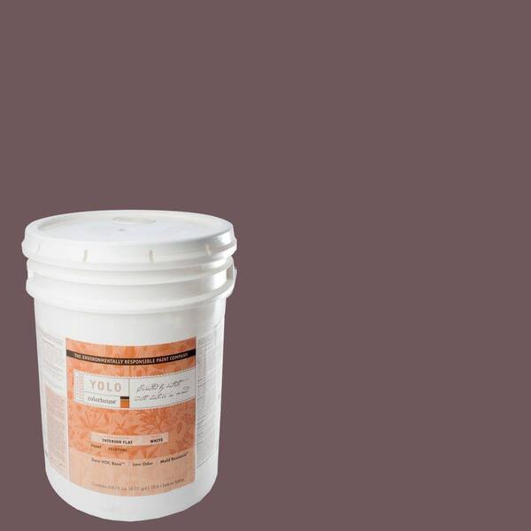 YOLO Colorhouse 5-gal. Wood .05 Flat Interior Paint-DISCONTINUED