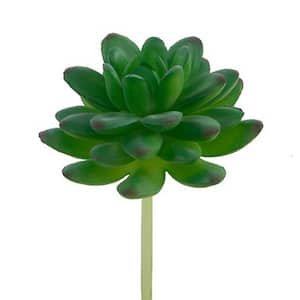 Set of 12 Stonecrop Artificial Succulent Plant