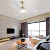 ceiling-fans-with-lights-zt-w882140942-fa-hotspot.0