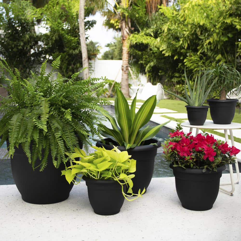 Ariana 16" Black Self-Watering Resin Planter