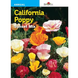 Poppy California Sunset Mix Seed