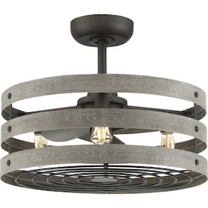 Gulliver 23.5 in. Indoor/Outdoor Graphite Farmhouse Ceiling Fan with 2200K Light Bulbs Included with Remote for Bedroom