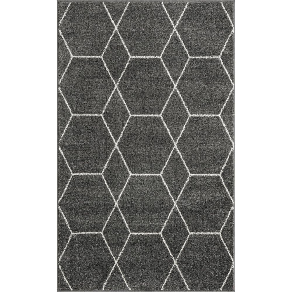 Geometric Trellis Frieze Dark Gray/Ivory Area Rug 3'3" x 5'3"