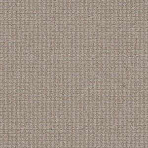 Shooting Star-Aurora Beige-35 oz. SD Polyester Pattern Installed Carpet