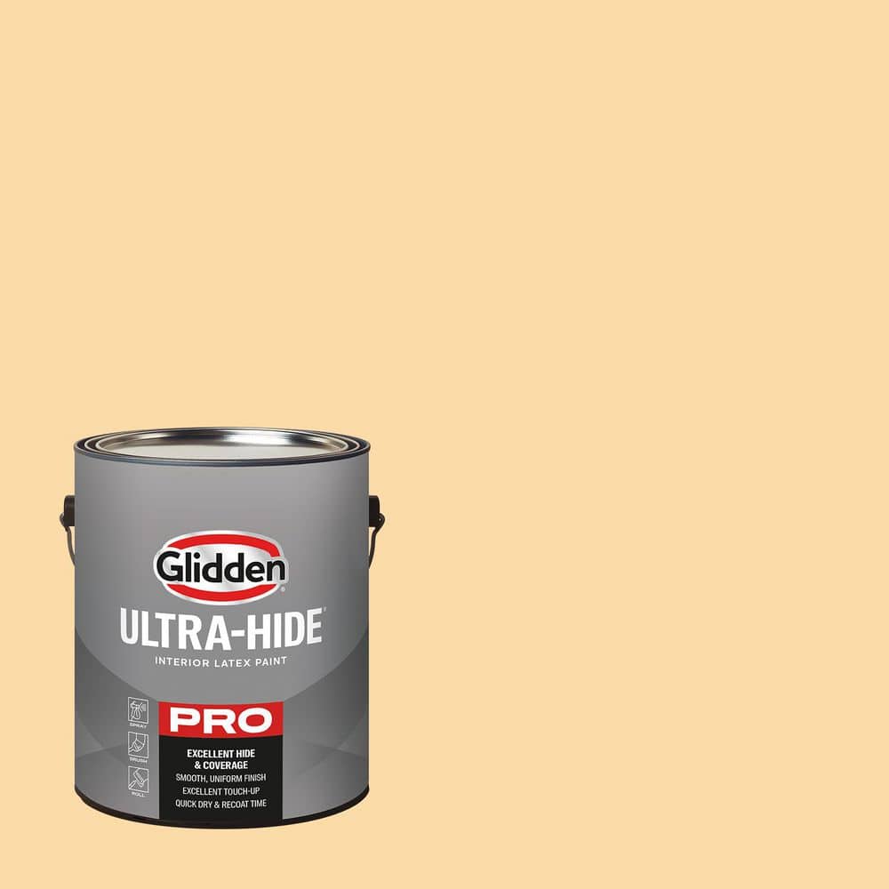 1 gal. PPG1204-4 Doodle Satin Interior Paint price history on PriceWatchPro