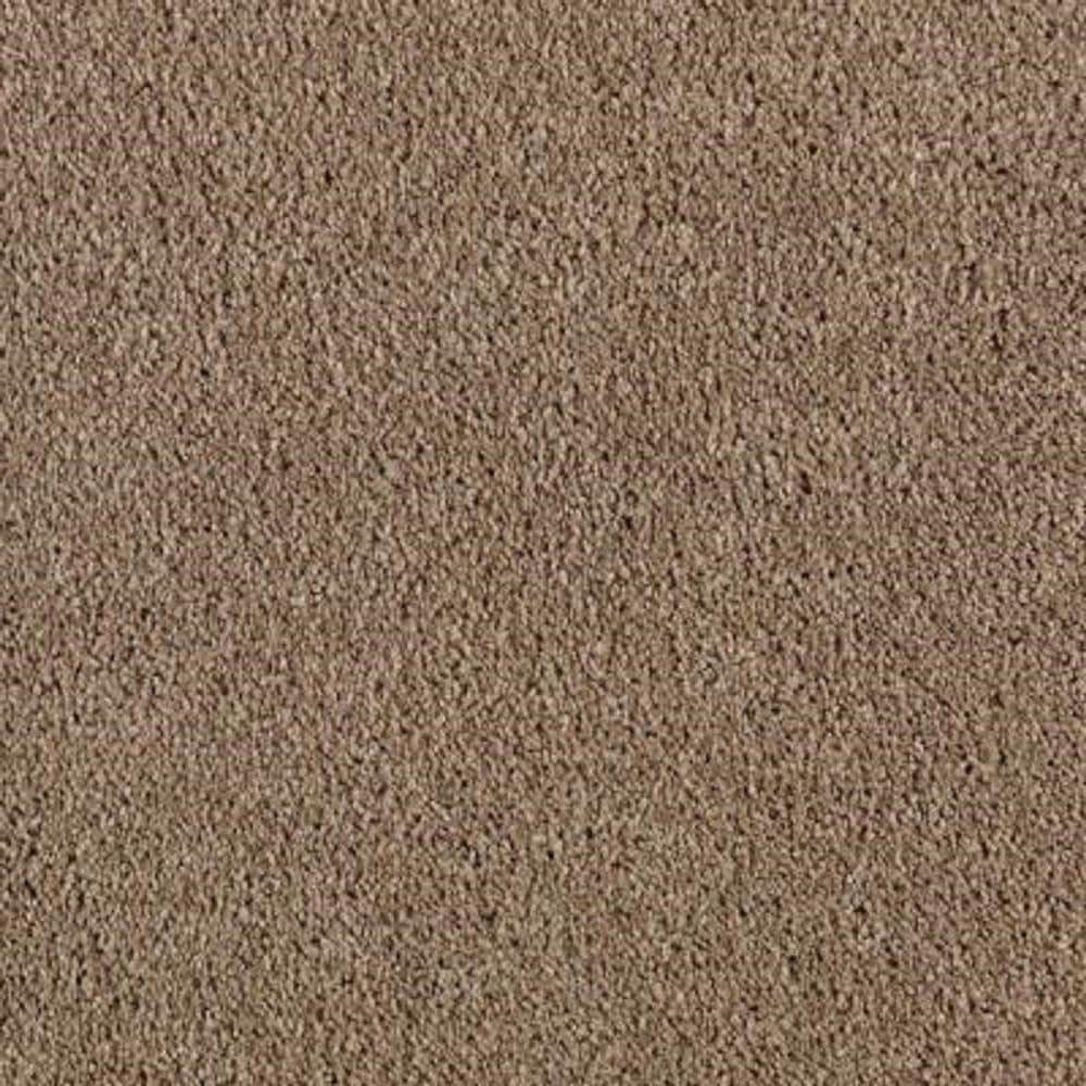 8 in. x 8 in. Texture Carpet Sample - Ambrosina II -Color Worn Leather price history on PriceWatchPro