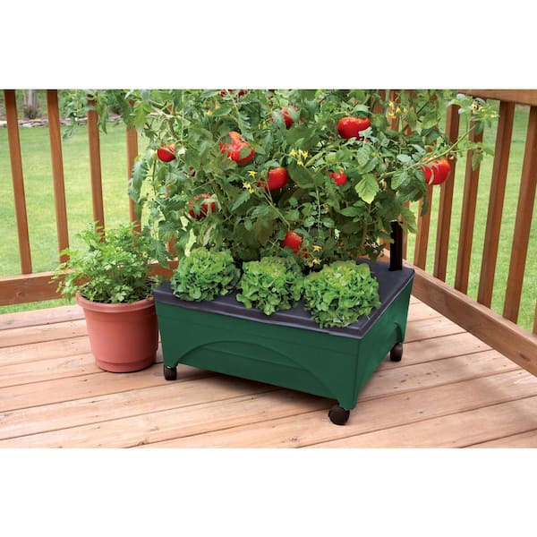 24.5 in. x 20.5 in. Patio Raised Garden Bed Grow Box Kit with Watering System and Casters in Evergreen
