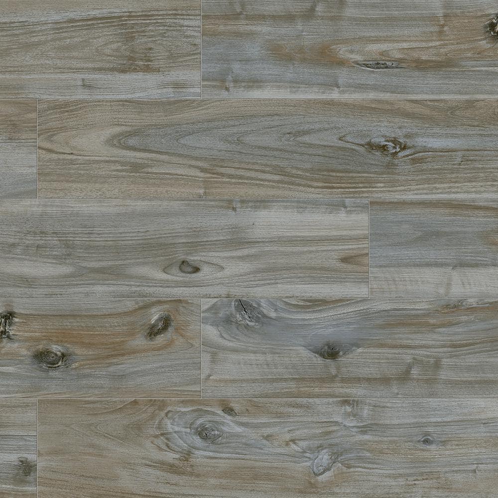 Sample - Selva Sky 8 in. x 10 in. Wood Look Porcelain Floor and Wall Tile price history on PriceWatchPro