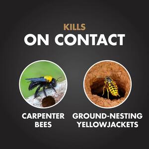 16 oz. Aerosol Carpenter Bee and Ground-Nesting Yellow Jacket Insect Killer Foam (4-Pack)