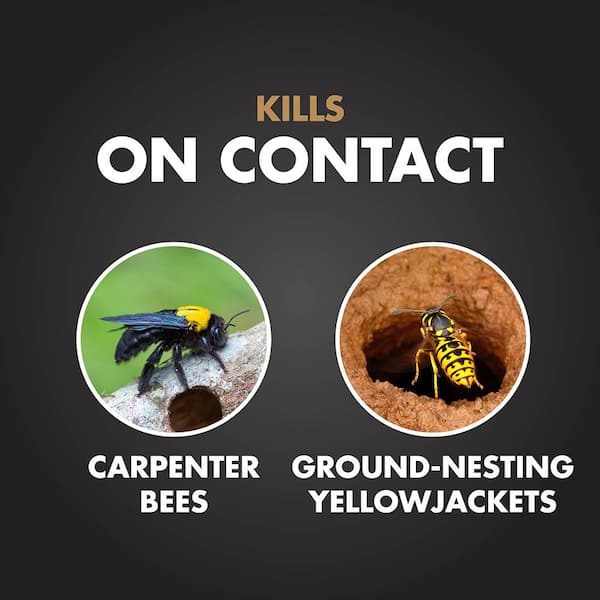 16 oz. Aerosol Carpenter Bee and Ground-Nesting Yellow jacket Killer Foam