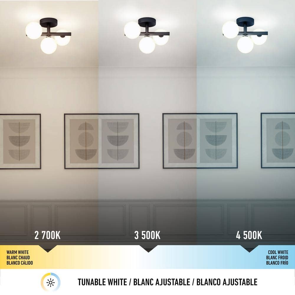 Bloom Modern Black LED Ceiling Light with Frosted Glass Globes