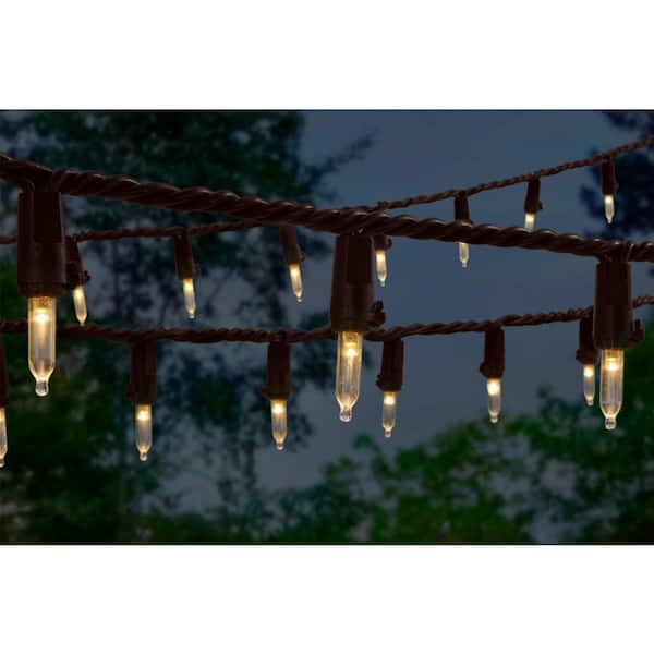 100L Warm White Mini LED Brown Wire Lights
