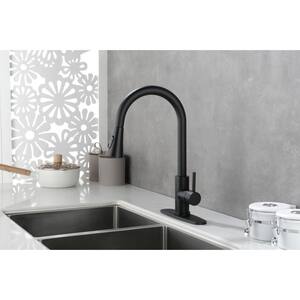 Single Handle Pull Out Sprayer Kitchen Faucet in Matte Black
