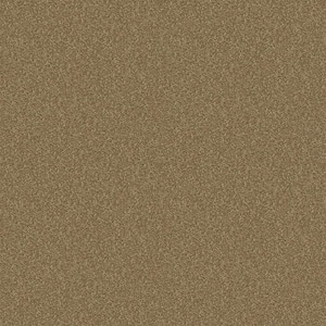Alpine - Charity - Brown 17.3 oz. Polyester Texture Installed Carpet
