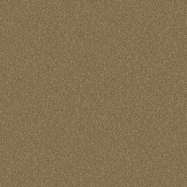 TrafficMaster Alpine - Charity - Brown 17.3 oz. Polyester Texture Installed Carpet