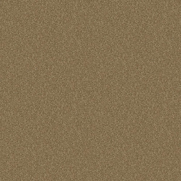 Alpine - Charity - Brown 17.3 oz. Polyester Texture Installed Carpet