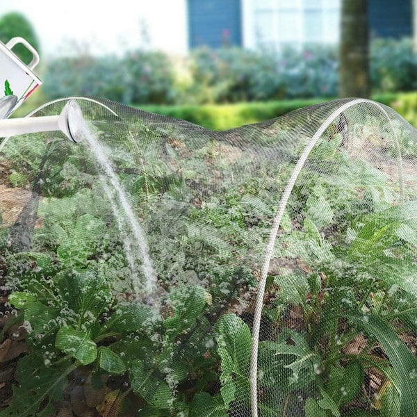 5 ft. x 10 ft. White Insect Barrier Screen and Garden Netting Protect Plants Fruits Flowers Against Bugs Birds Squirrels