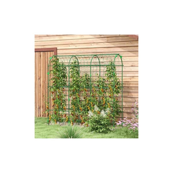 GIRUVI 「Grow on the Wall」Gracilius Natural Vertical Wall Grass by Green Wall Nursery, Nashik