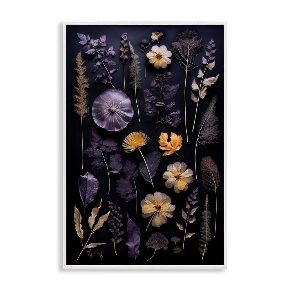 Flower Specimens on Black by Heidi Kuntz White Framed Nature Giclee Art Print 24 in. x 16 in. price history on PriceWatchPro