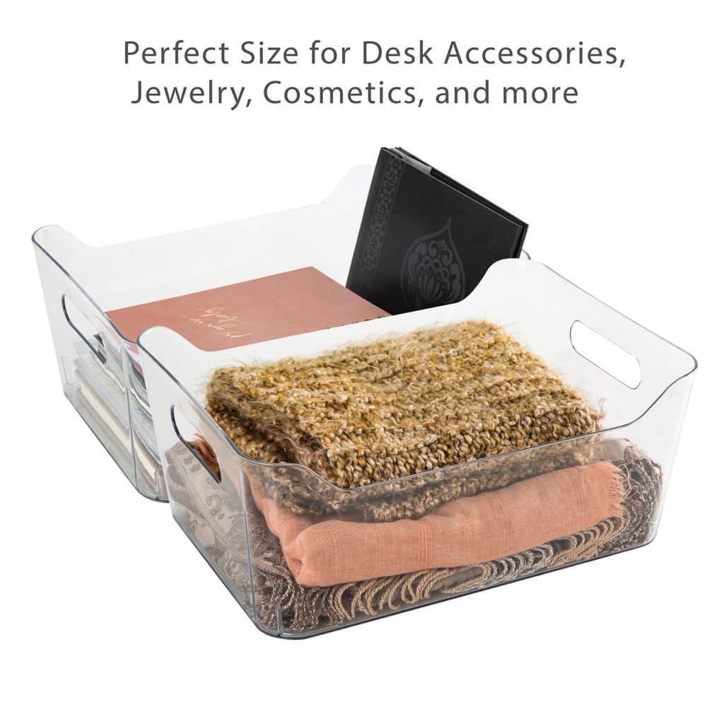 Large Clear Plastic Lidded Storage Tote Bin