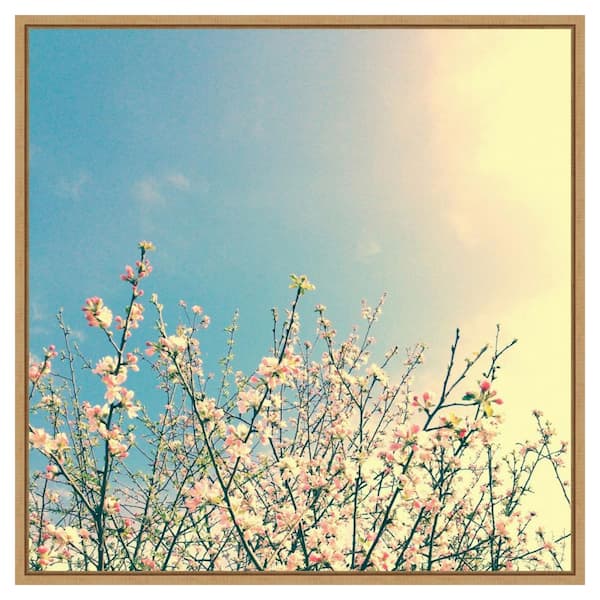 Amanti Art Springing Pink I by Olivia Joy 30 in. W x 30 in. H Canvas Float Frame in Brown