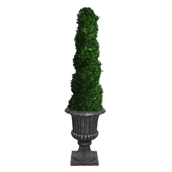 Laura Ashley 64 in. Tall Preserved Natural Spiral Boxwood Topiary in 16 in. Fiberstone Planter