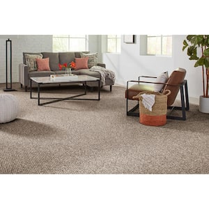 Finton  - Woodland - Brown 24 oz. SD Polyester Loop Installed Carpet