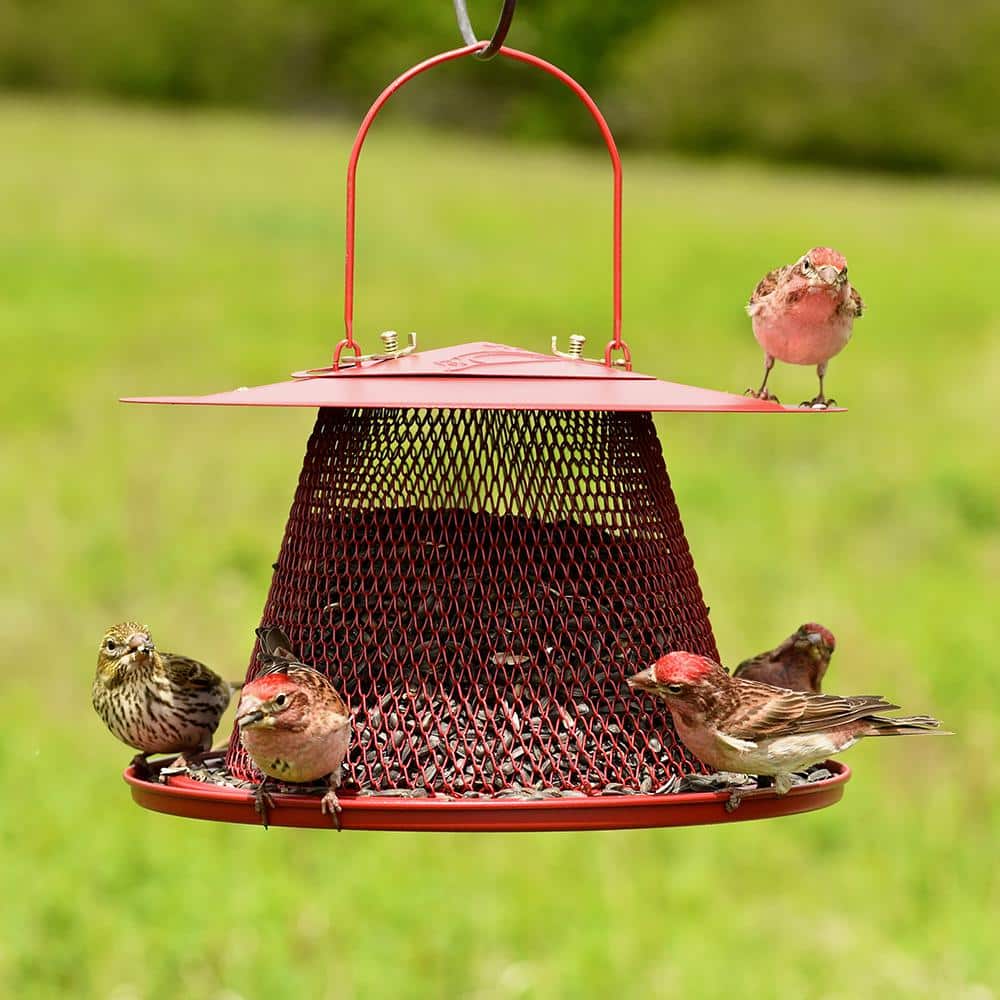 Red Metal Hanging Bird Feeder with Mesh Design