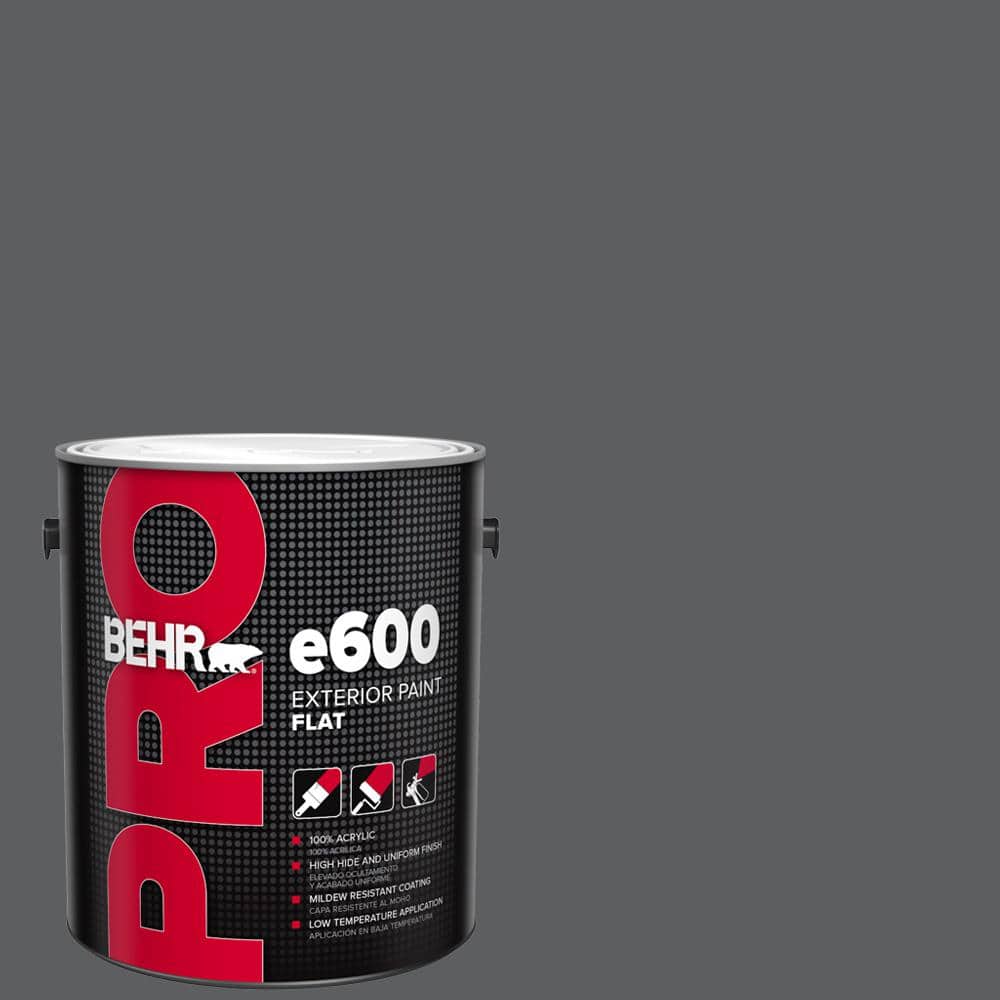 1 gal. #N500-6 Graphic Charcoal Flat Exterior Paint price history on PriceWatchPro