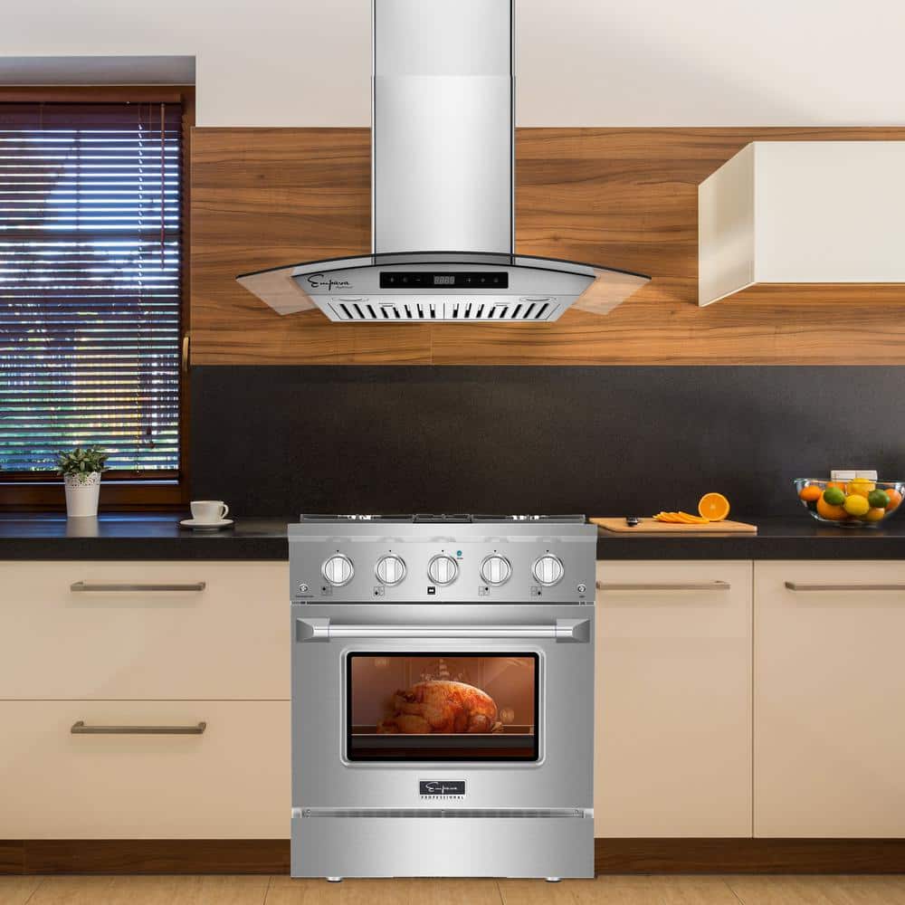 30-Inch Stainless Steel Convertible Wall-Mounted Range Hood