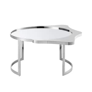 Mariana 31.5 in. Silver Specialty Glass Coffee Table