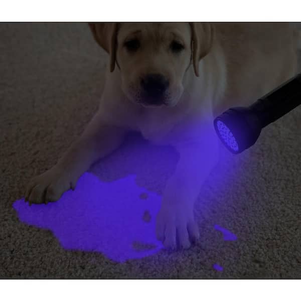 Black Light UV Flashlight,Mini 395nm 21 LED Blacklight Detector for Cat/Dog Urin
