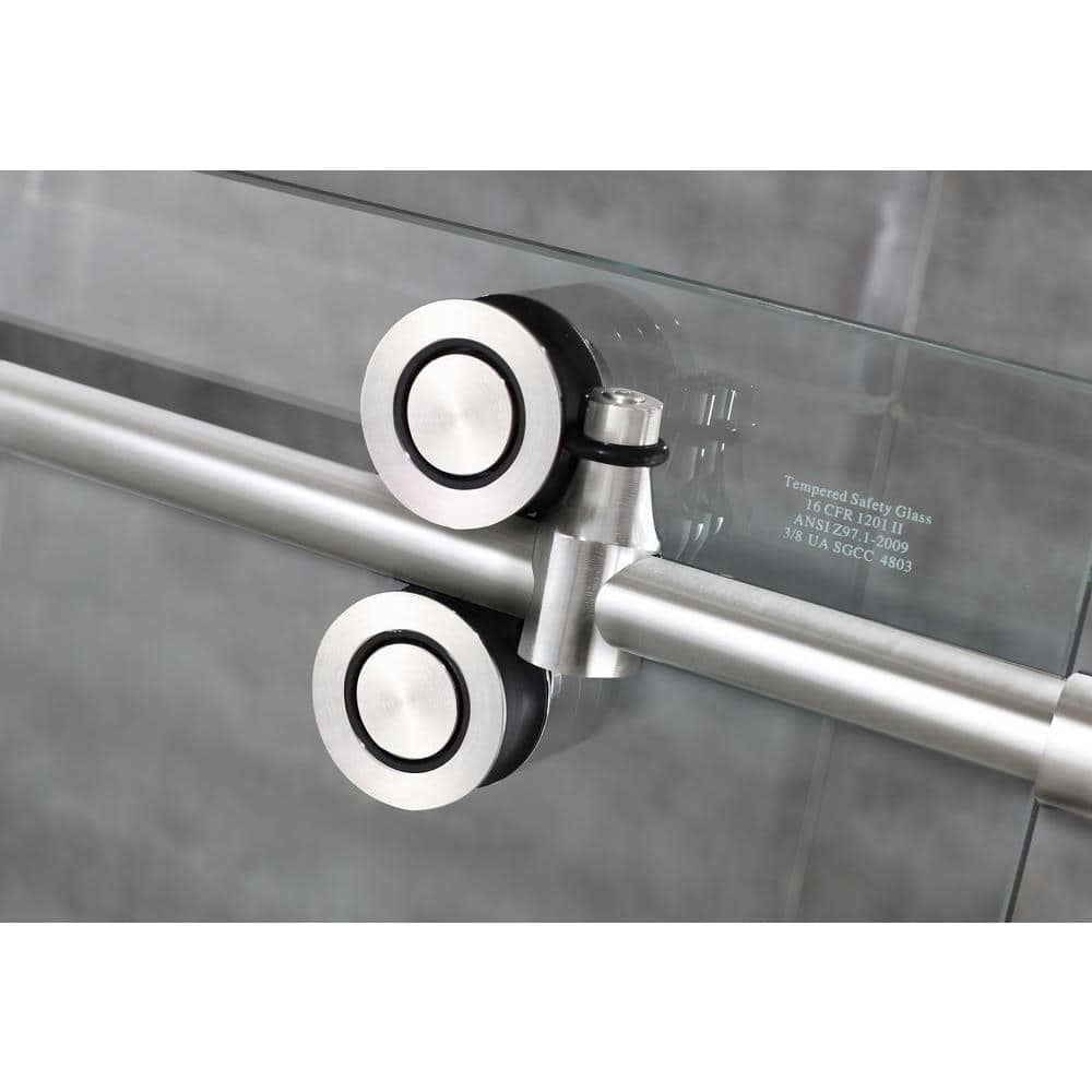 Langham 60" x 75" Frameless Stainless Steel Shower Door with Clear Glass