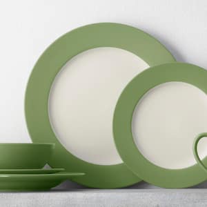 Colorwave Apple 11 in. (Green) Stoneware Rim Dinner Plates, (Set of 4)