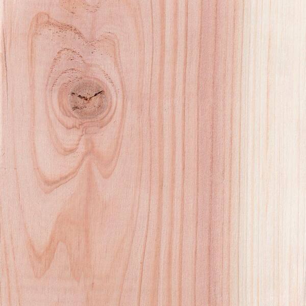 Mendocino Forest Products 2 in. x 6 in. x 6 ft. Construction
