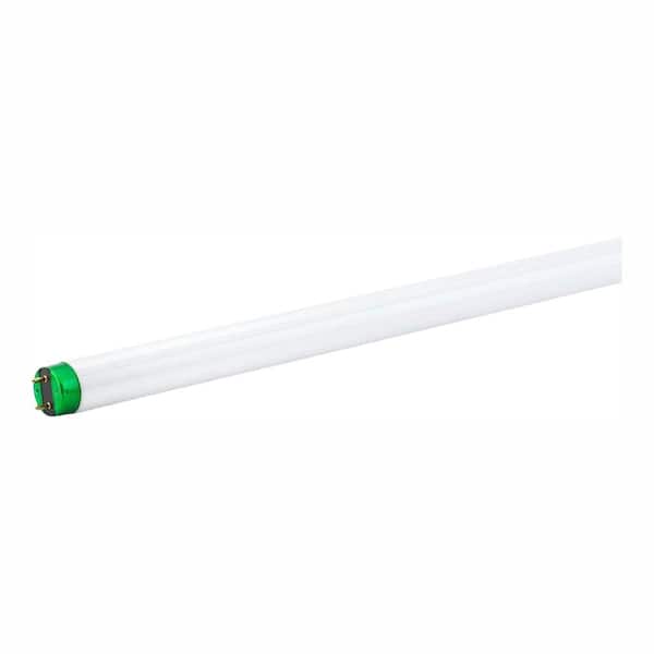 Philips 15-Watt 2 ft. Linear T8 Fluorescent Tube Light Bulb Cool White Plus (4100K) (6-Pack)