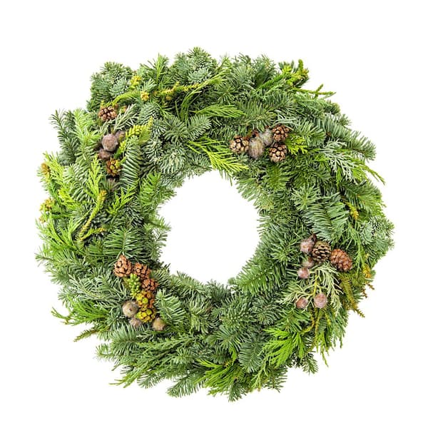 Online Orchards 12 in. Mini Fresh-Cut Mixed Christmas Wreath with Noble Fir, Cedar, Juniper and Cones (2-Pack)