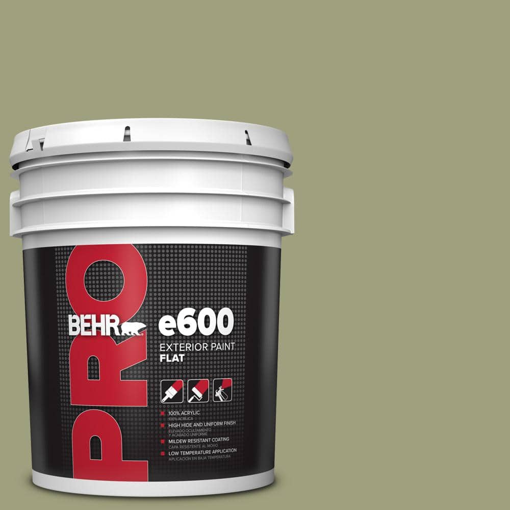 5 gal. #BIC-57 French Parsley Flat Exterior Paint price history on PriceWatchPro