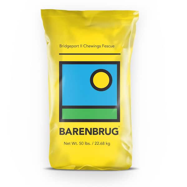 Barenbrug 50 lb. Bridgeport II Chewing Fescue Grass Seed