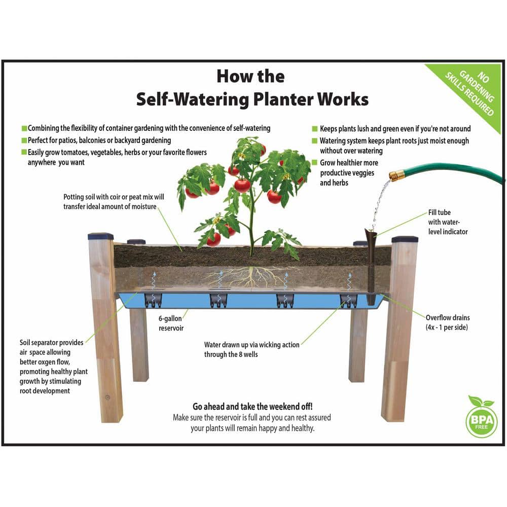 Large Natural Cedar Self-Watering Elevated Planter
