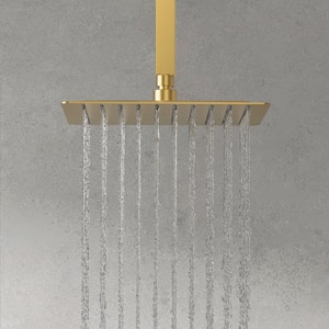 Classic Rain 10 in. Single Handle 2-Spray Shower Faucet 2.5 GPM with Pressure Balance in. Brushed Gold Valve Included