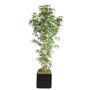 78 in. Tall Natural Bamboo Tree in 14 in. Fiberstone Planter