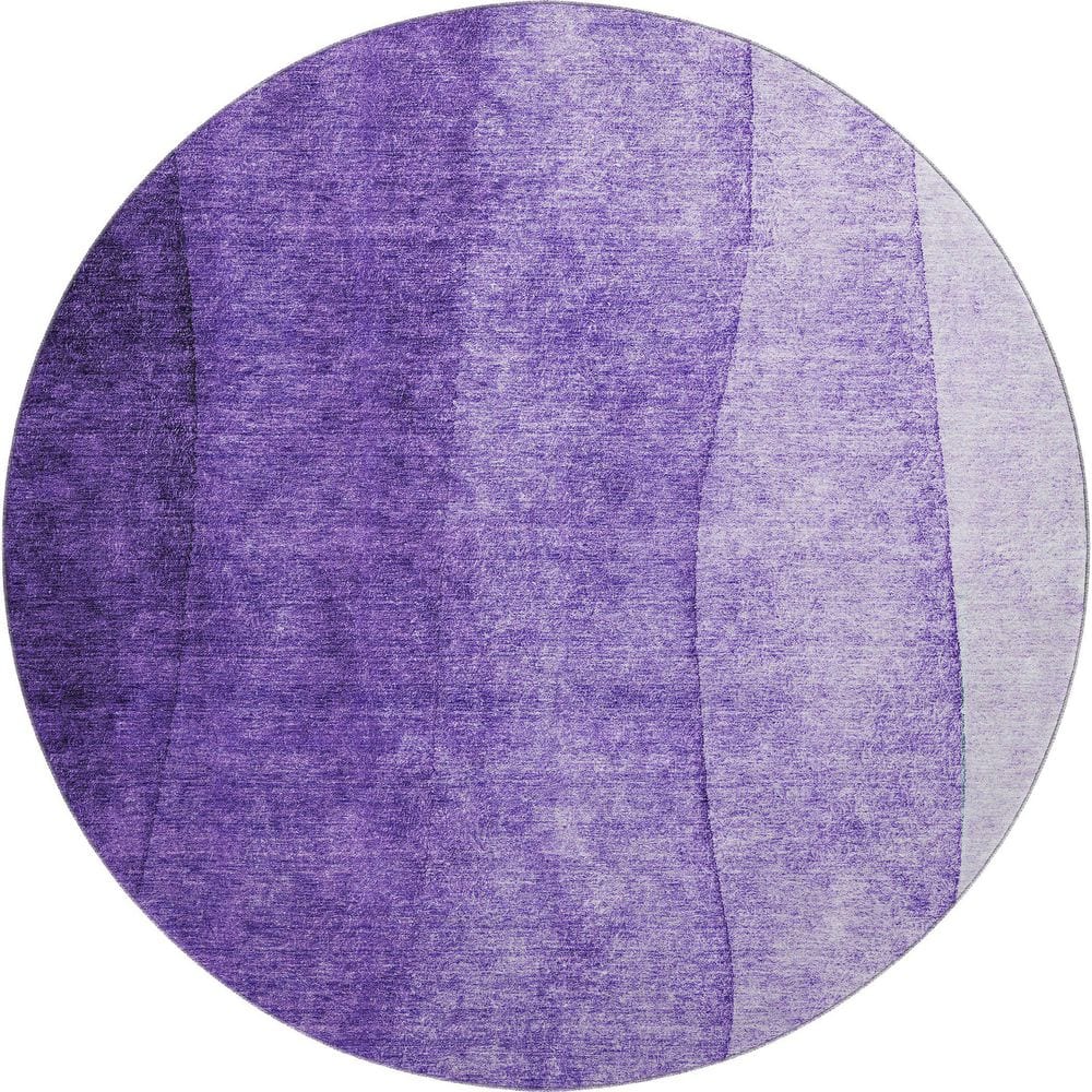 Mayfield Premium Machine Washable Indoor/Outdoor Geometric AMF625 Purple 8 ft. x 8 ft. Round Area Rug price history on PriceWatchPro