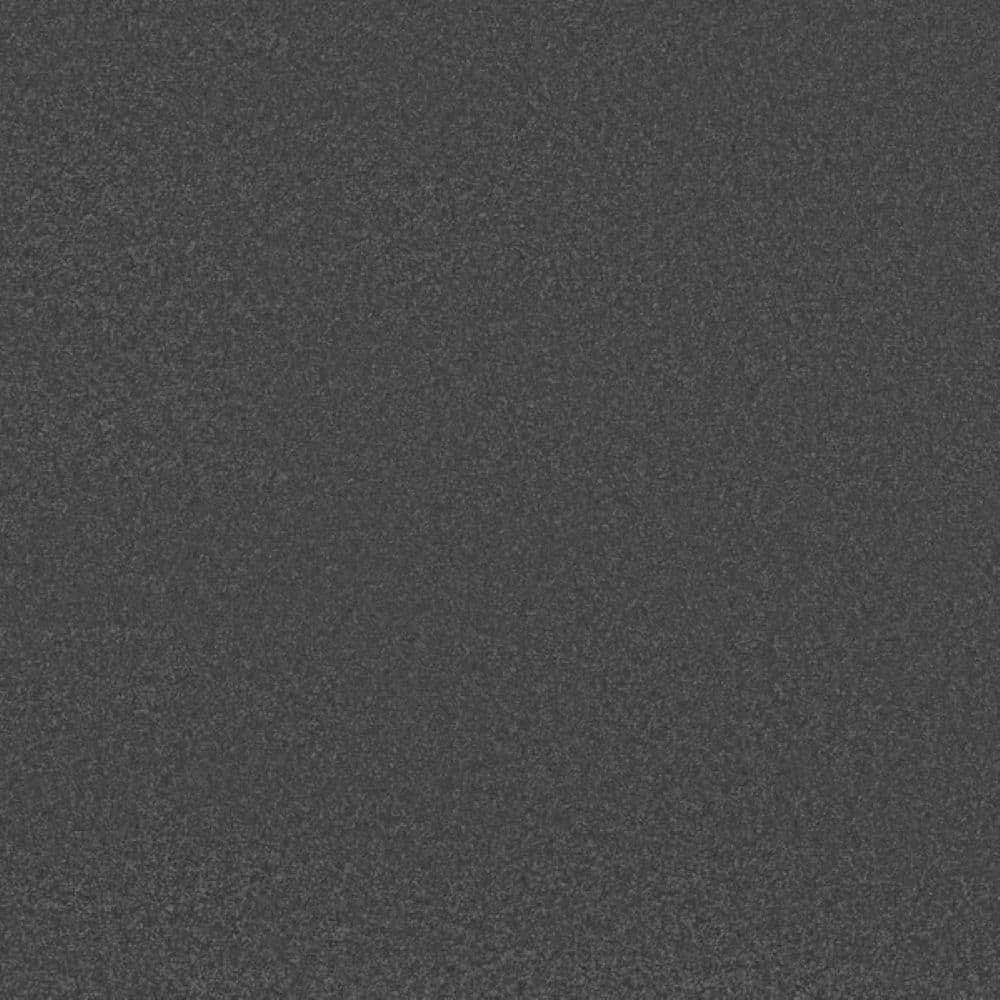 8 in. x 8 in. Texture Carpet Sample-Park Royal II-Color Iron price history on PriceWatchPro