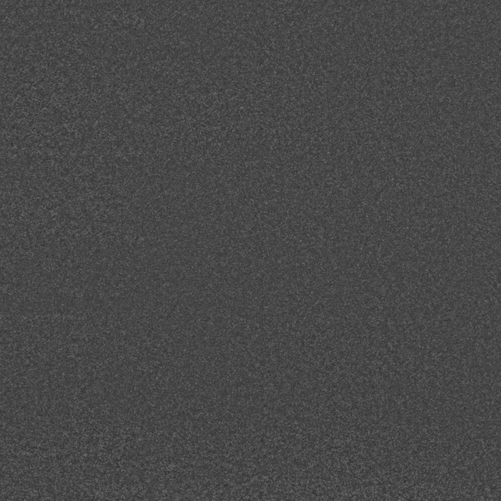 8 in. x 8 in. Texture Carpet Sample-Park Royal I-Color Iron price history on PriceWatchPro