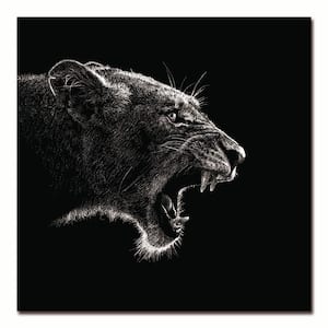 1 Piece Floater Frame "Roaring Lioness" Black and White Animal Acrylic Photography Wall Art 40 in. x 40 in. .