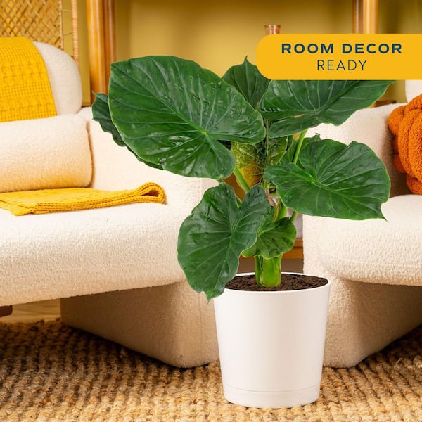 mid century modern indoor planter 3D Printed Plant Pot and Air Plant Holder – Stylish, Durable, Eco-Friendly, Modern Design, Indoor & Outdoor Use, Multiple Sizes & Colors, Lightweight main image 1
