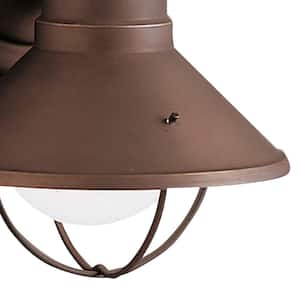 Seaside 1-Light Olde Bronze Outdoor Hardwired Barn Sconce with No Bulbs Included (1-Pack)
