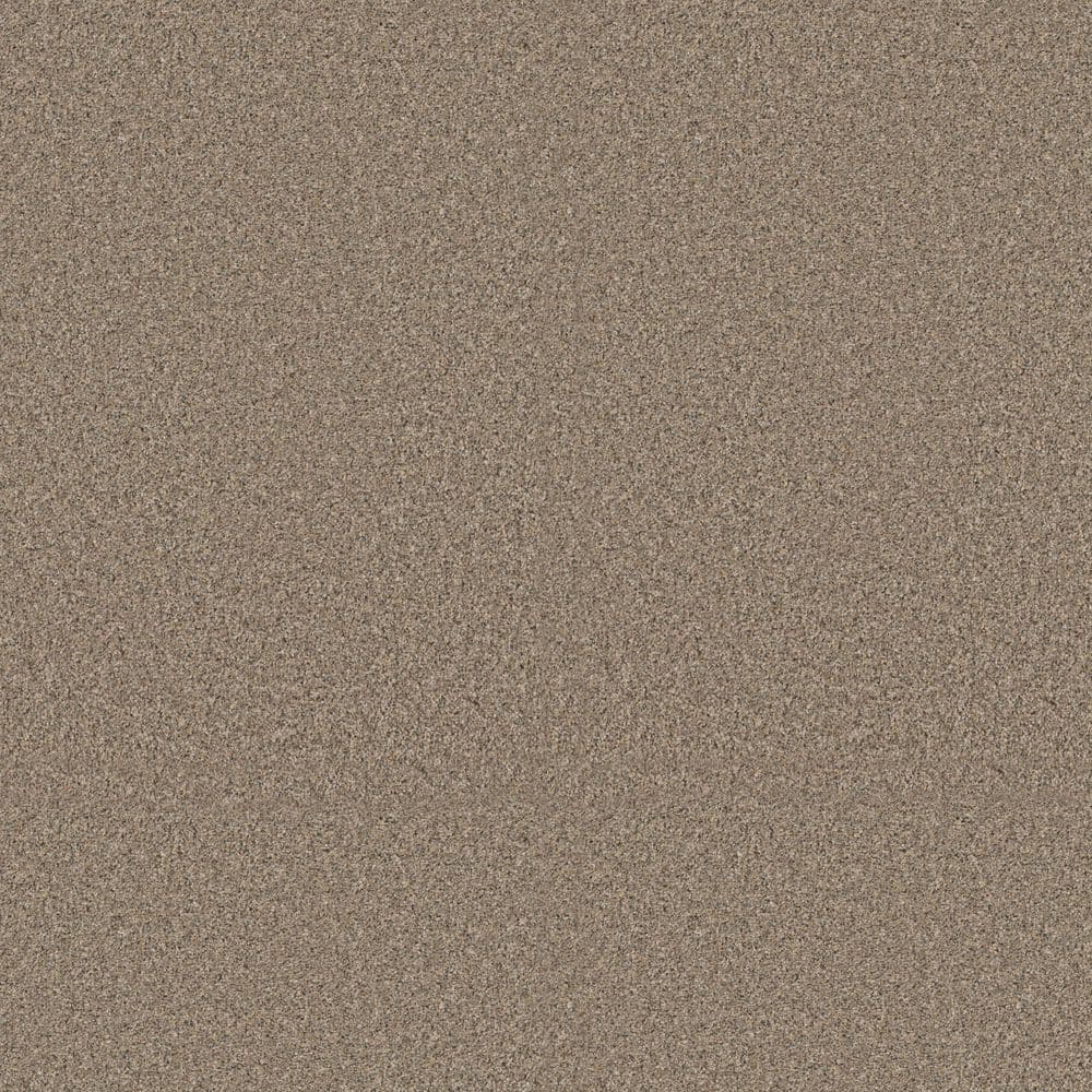 8 in. x 8 in. Texture Carpet Sample - Sunshine Cottage - Color Timber price history on PriceWatchPro