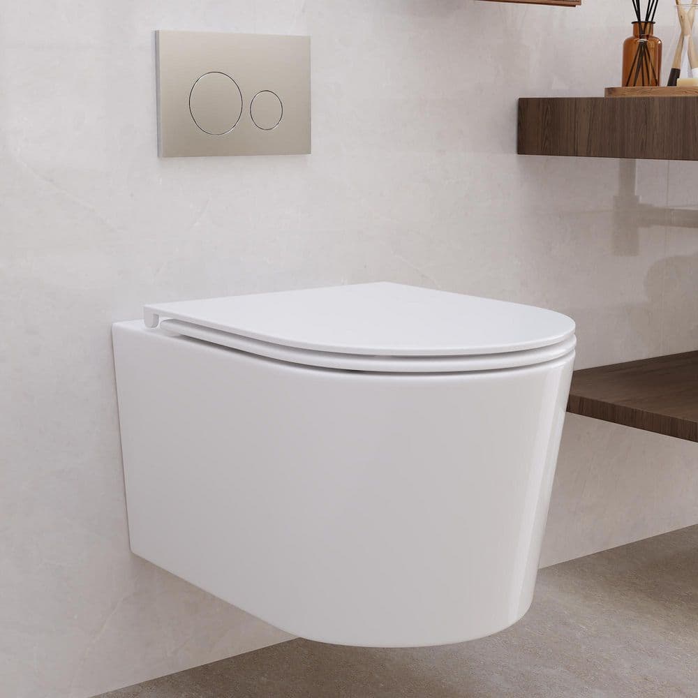 DEERVALLEY 2-Piece 1.1/1.6 GPF Dual Flush Elongated Wall Hung
